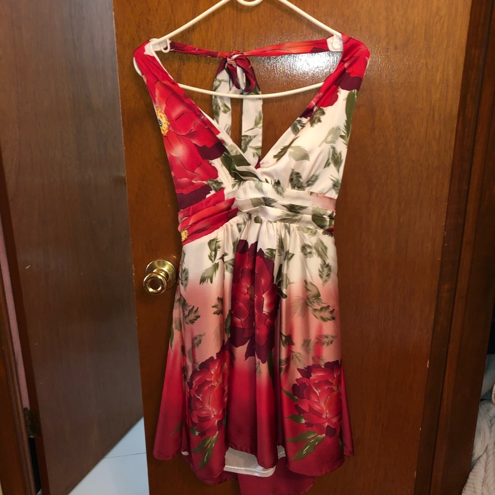 Summer Dress with roses